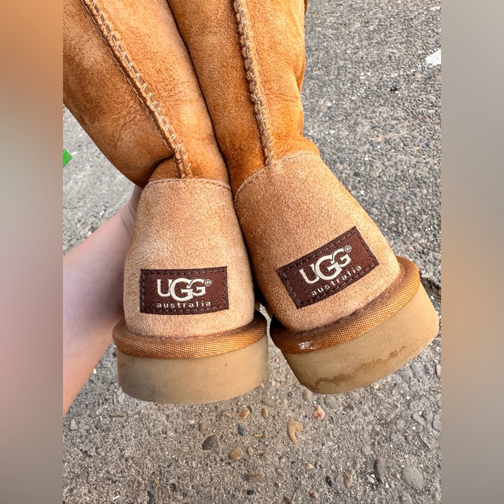 UGG Classic Boots in Chestnut - Picture 7 of 9